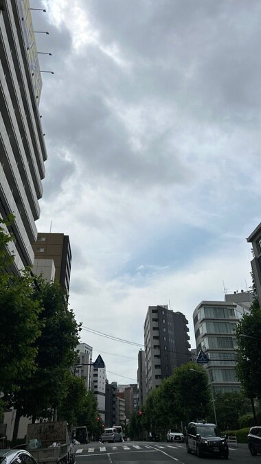 IMG_7432_380px.jpg