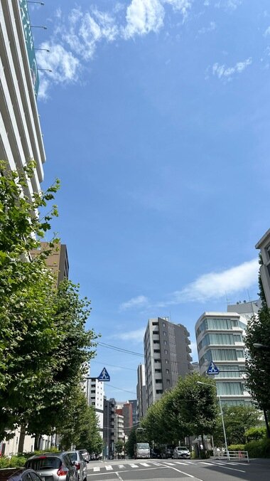 IMG_7833_380px.jpg