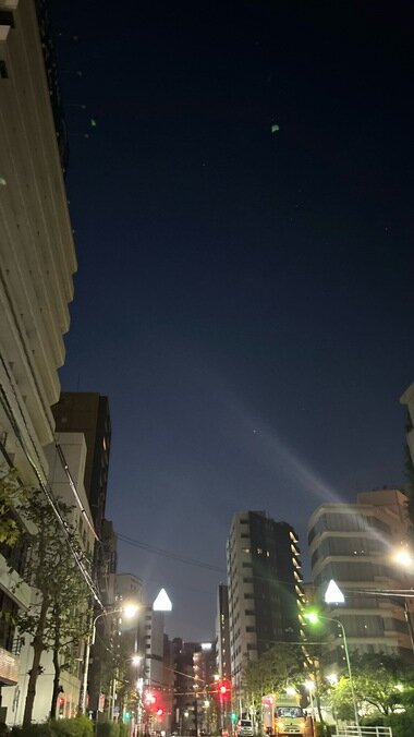 IMG_8669_380px.jpg
