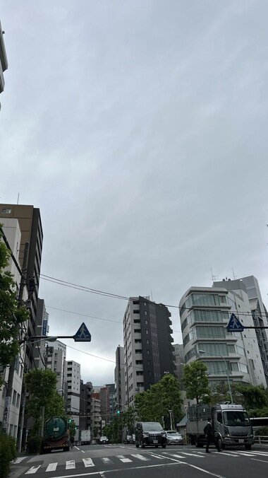IMG_9230_380px.jpg