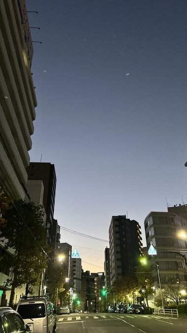 IMG_9969_380px.jpg