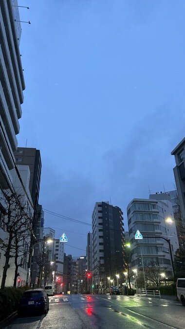IMG_0583_380px.jpg