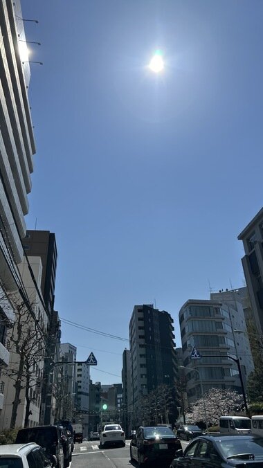 IMG_0904_380px.jpg
