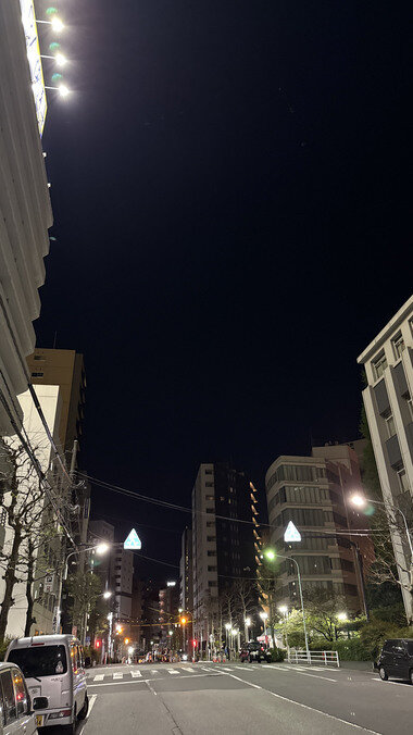 IMG_0075_380px.jpg