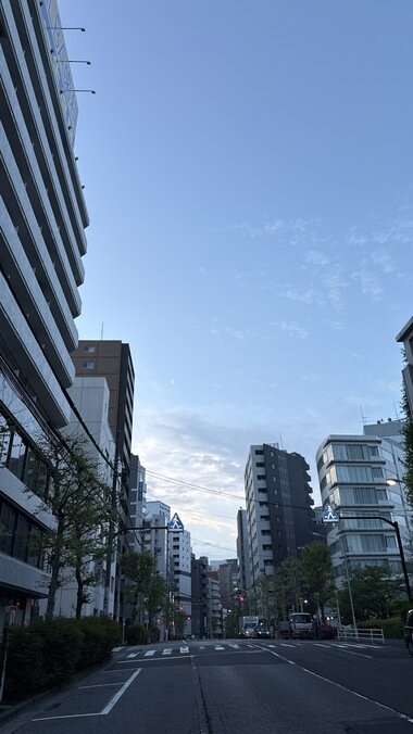 IMG_0078_380px.jpg
