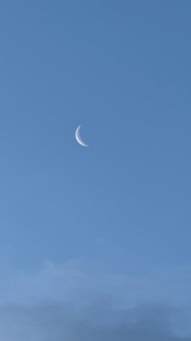 IMG_0079_380px.jpg