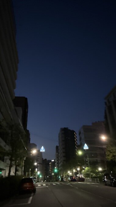 IMG_0082_380px.jpg