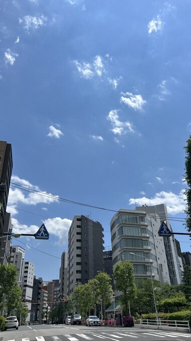 IMG_1153_380px.jpg