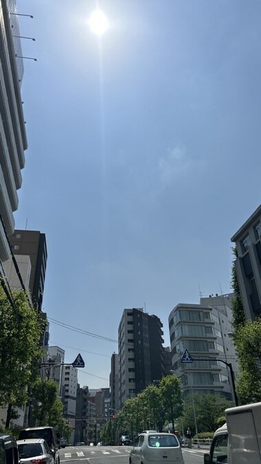 IMG_1198_380px.jpg_380px.jpg
