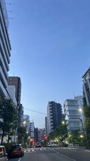 IMG_1301_380px.jpg