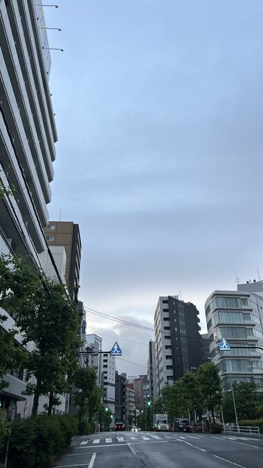 IMG_1337_380px.jpg