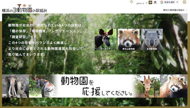 スクリーンショット 2025-05-07 211007.png_380px.jpg