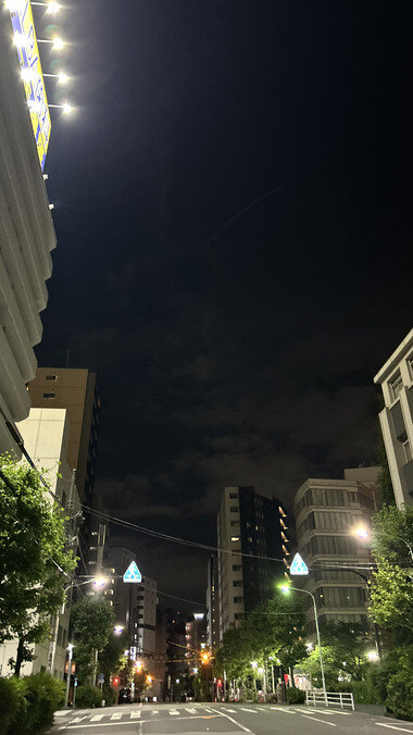 IMG_1384_380px.jpg
