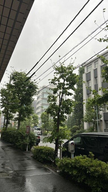 IMG_1395_380px.jpg