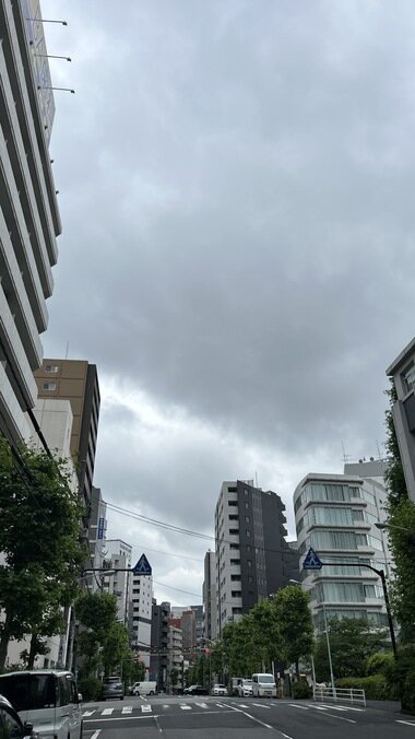 IMG_1417_380px.jpg
