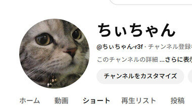 スクリーンショット 2025-05-15 094550.png_380px.jpg