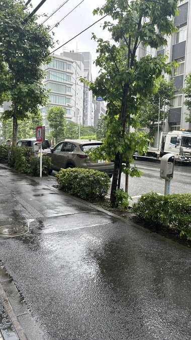 IMG_1474_380px.jpg
