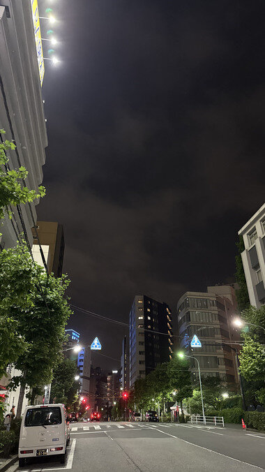 IMG_0085_380px.jpg