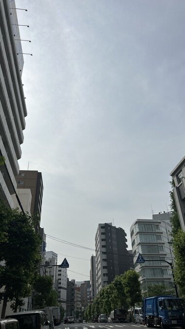 IMG_1520_380px.jpg