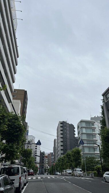 IMG_1566_380px.jpg