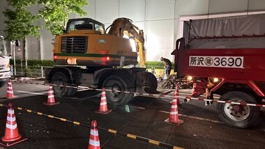 IMG_1685_380px.jpg