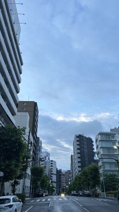IMG_1686_380px.jpg