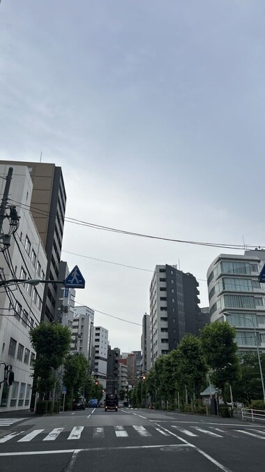 IMG_1705_380px.jpg