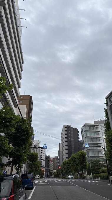 IMG_0088_380px.jpg