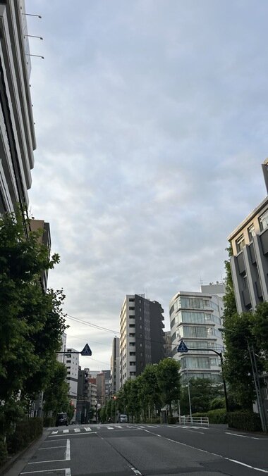 IMG_1761_380px.jpg