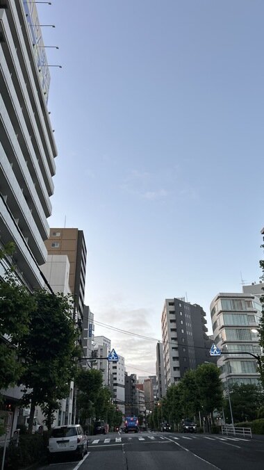 IMG_1778_380px.jpg