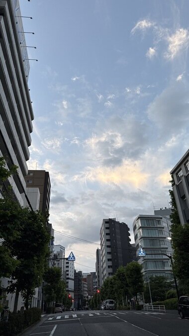 IMG_0090_380px.jpg