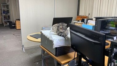 IMG_0812.JPG_380px.jpg