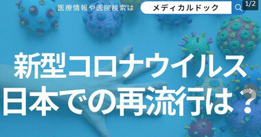 スクリーンショット 2025-06-12 014855.png_380px.jpg