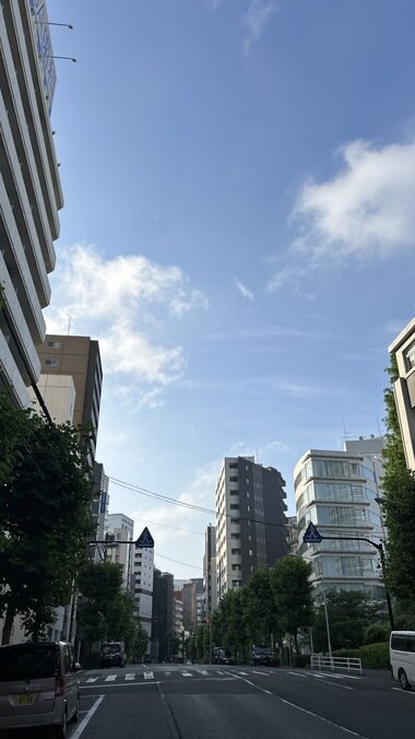 IMG_1887.JPG_380px.jpg