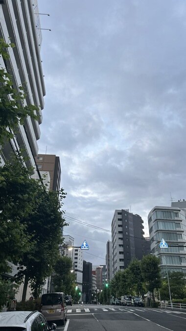 IMG_1939.JPG_380px.jpg
