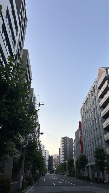 IMG_1944.JPG_380px.jpg