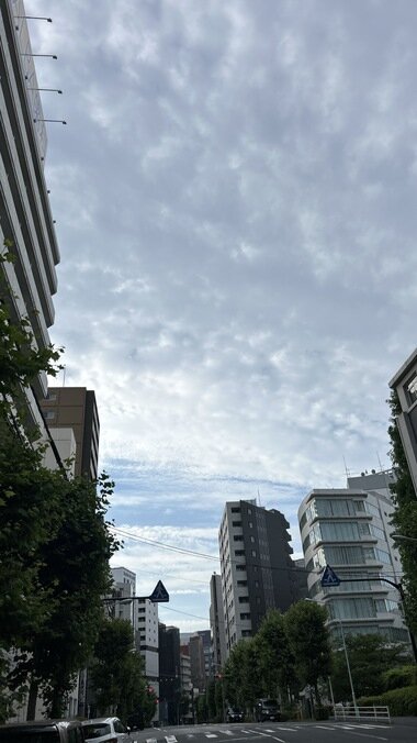 IMG_1970.JPG_380px.jpg