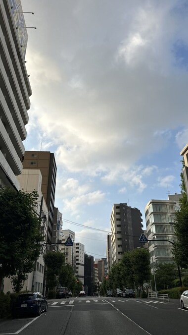 IMG_1995.JPG_380px.jpg