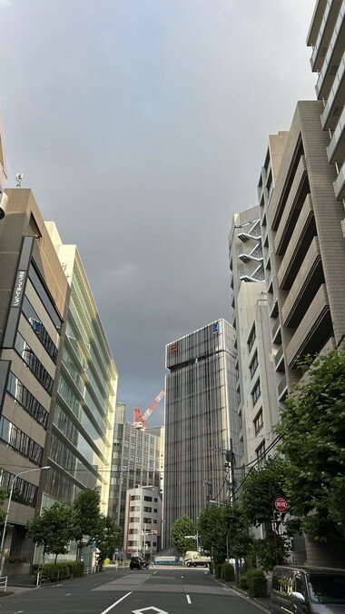 IMG_1996.JPG_380px.jpg