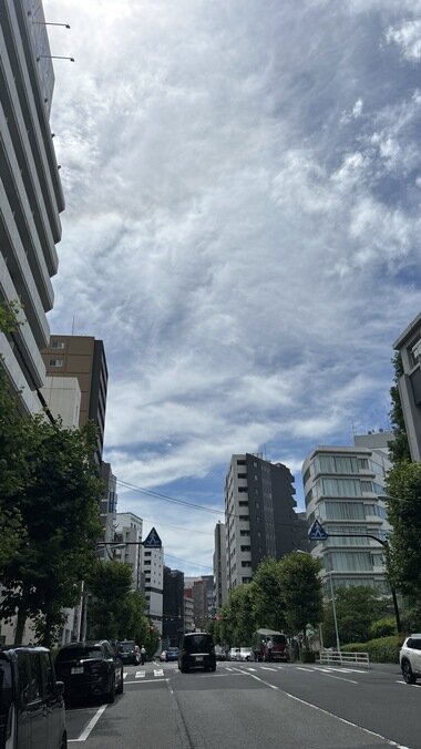 IMG_2028.JPG_380px.jpg