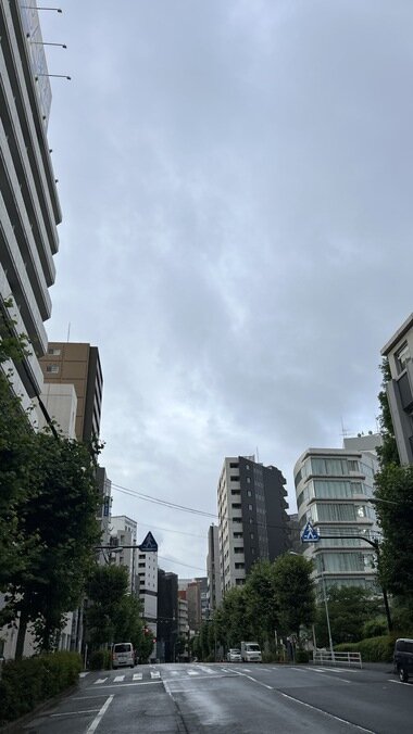 IMG_2074.JPG_380px.jpg