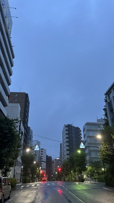IMG_2078.JPG_380px.jpg