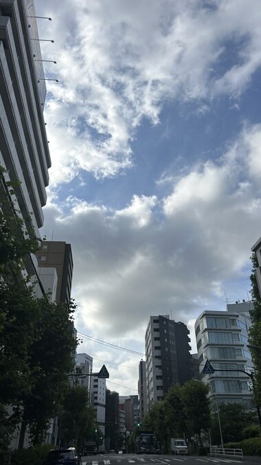 IMG_2088.JPG_380px.jpg
