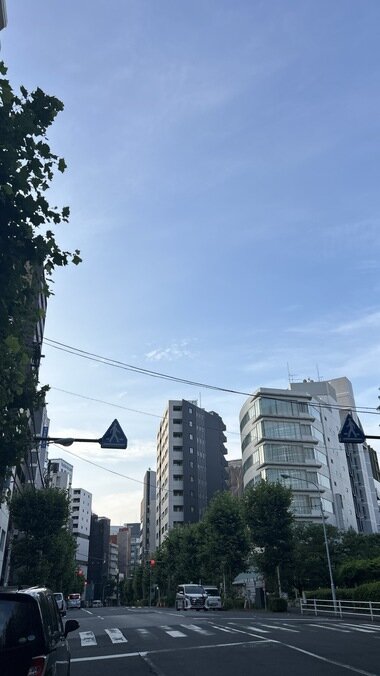 IMG_2091.JPG_380px.jpg