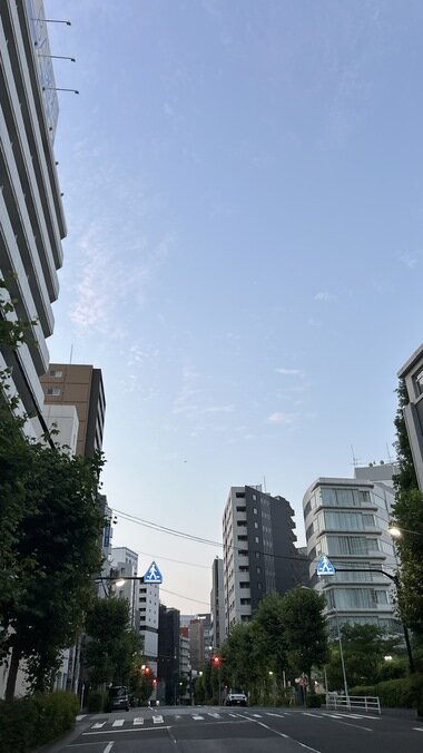 IMG_2102.JPG_380px.jpg