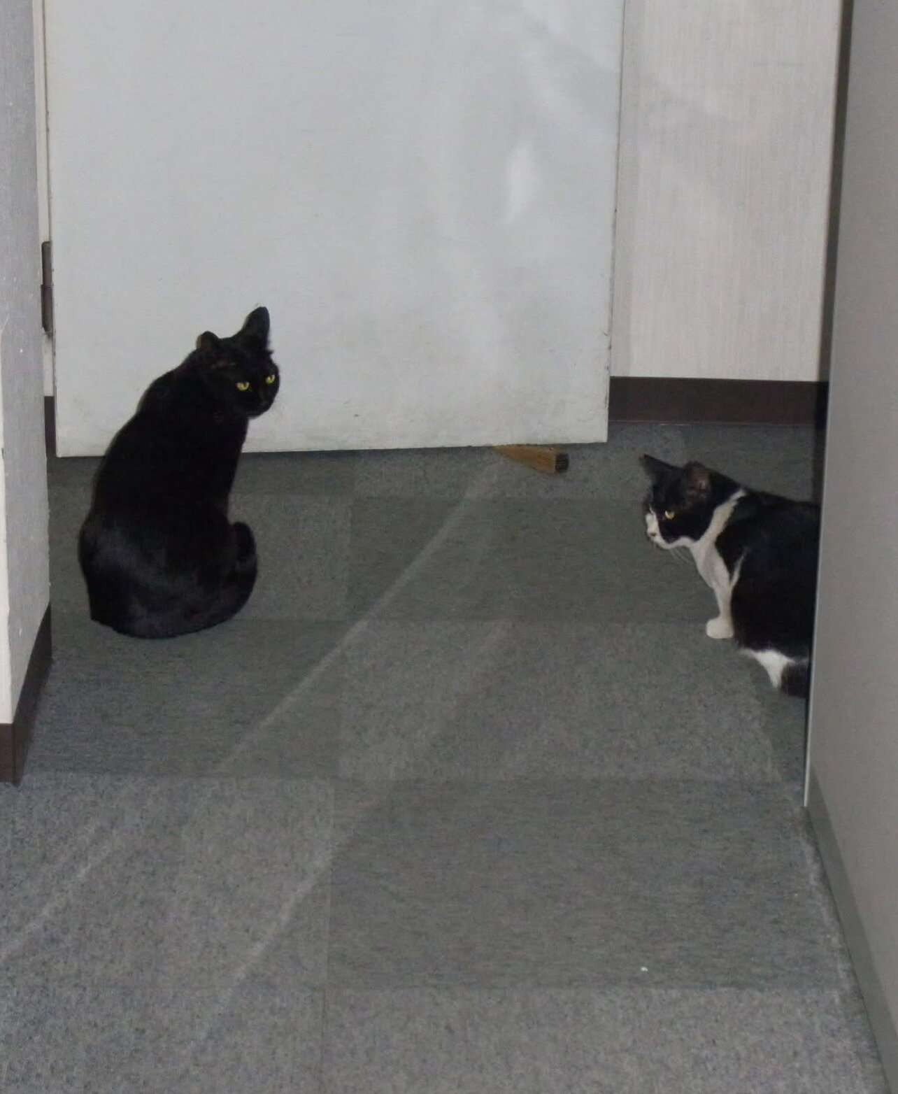 IMG_2090_big.jpg