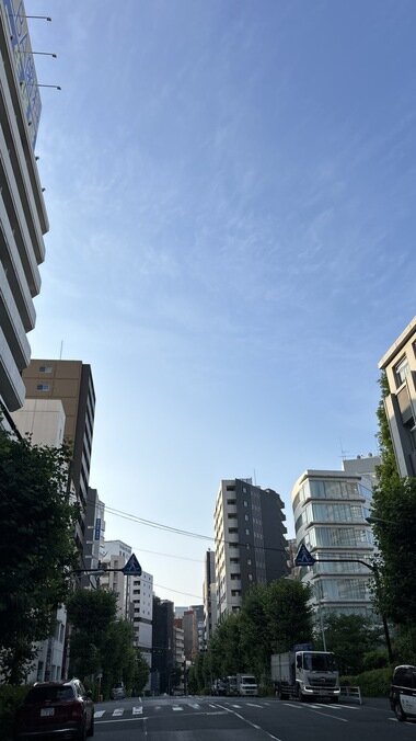 IMG_2112.JPG_380px.jpg