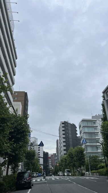 IMG_2113.JPG_380px.jpg