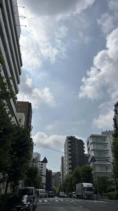 IMG_2142.JPG_380px.jpg