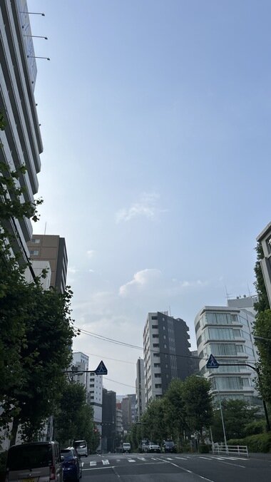 IMG_2149.JPG_380px.jpg
